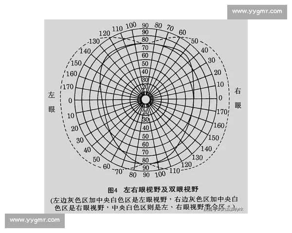 电竞视野控制技巧与战术分析:如何在比赛中掌控视野优势